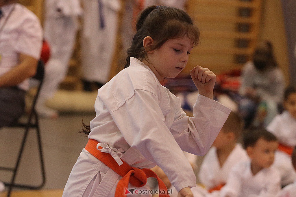 Noworoczny Turniej Karate w Ostrołęce [18.01.2020] - zdjęcie #36 - eOstroleka.pl