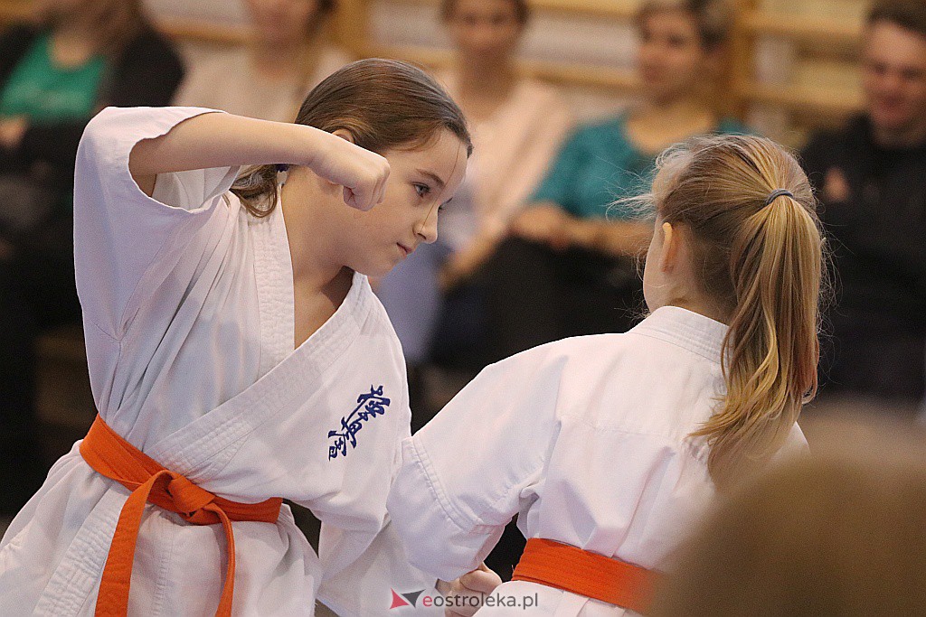 Noworoczny Turniej Karate w Ostrołęce [18.01.2020] - zdjęcie #38 - eOstroleka.pl