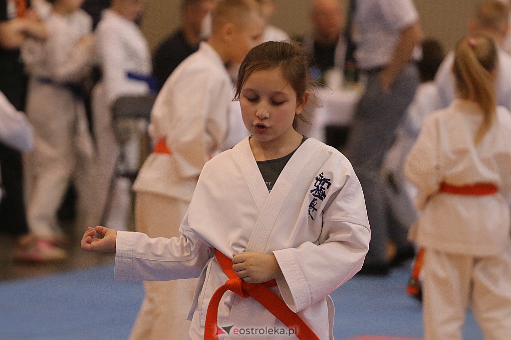 Noworoczny Turniej Karate w Ostrołęce [18.01.2020] - zdjęcie #71 - eOstroleka.pl