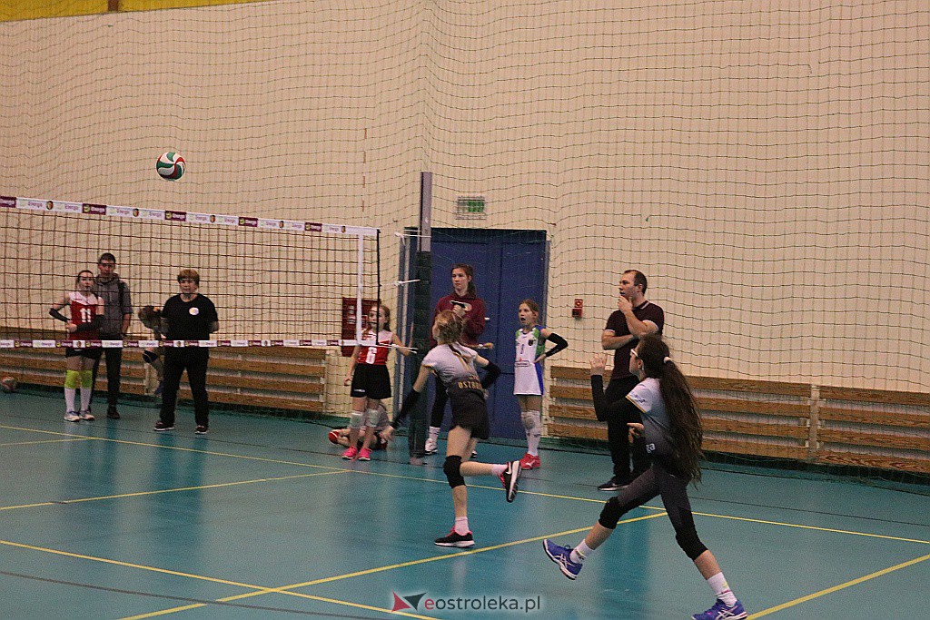 Turniej minisiatkówki w Ostrołęce [26.01.2020] - zdjęcie #14 - eOstroleka.pl