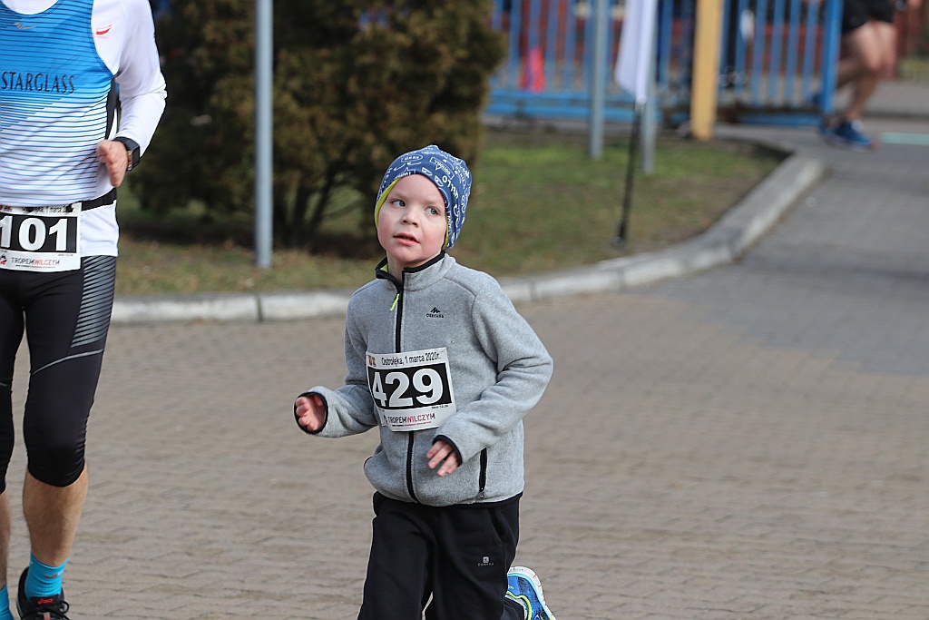 Bieg Tropem Wilczym 2020 w Ostrołęce [01.03.2020] - zdjęcie #149 - eOstroleka.pl