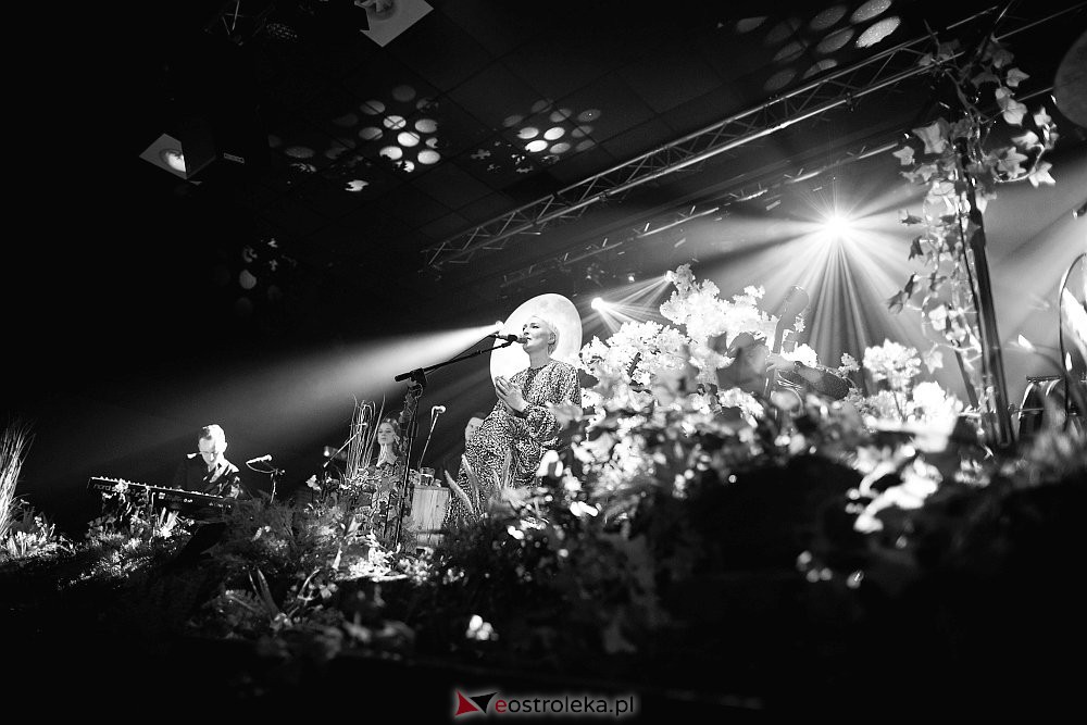 Koncert Anity Lipnickiej [07.03.2020] - zdjęcie #4 - eOstroleka.pl