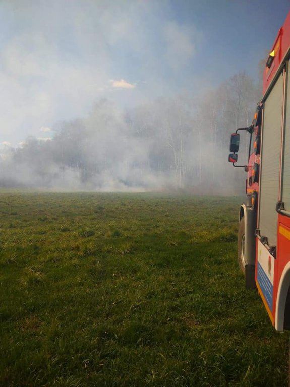 Pożar pod Troszynem. W akcji gaśniczej strażacy ochotnicy z dwóch jednostek [22.04.2020] - zdjęcie #1 - eOstroleka.pl