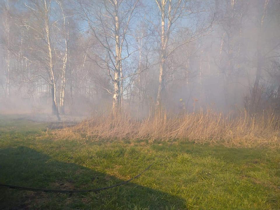 Pożar pod Troszynem. W akcji gaśniczej strażacy ochotnicy z dwóch jednostek [22.04.2020] - zdjęcie #2 - eOstroleka.pl
