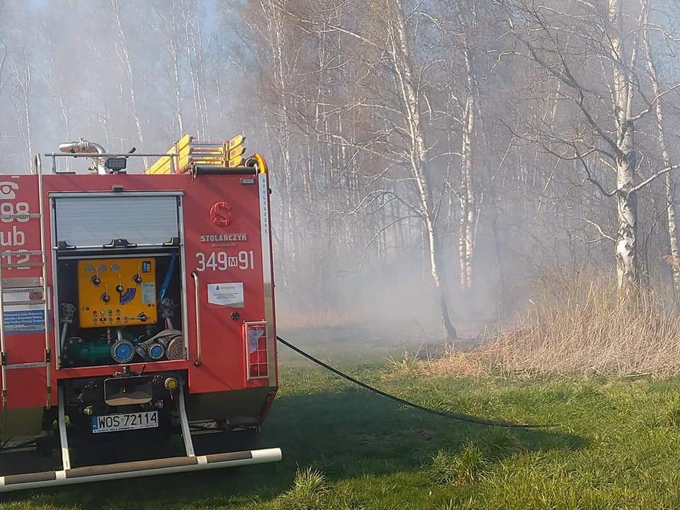 Pożar pod Troszynem. W akcji gaśniczej strażacy ochotnicy z dwóch jednostek [22.04.2020] - zdjęcie #3 - eOstroleka.pl