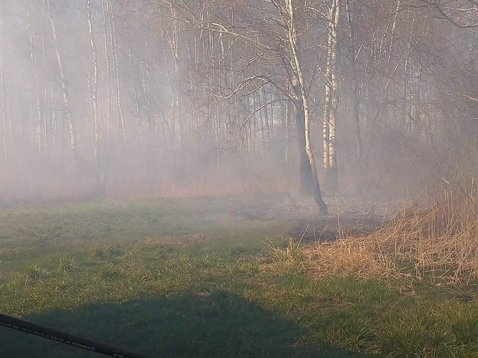 Pożar pod Troszynem. W akcji gaśniczej strażacy ochotnicy z dwóch jednostek [22.04.2020] - zdjęcie #4 - eOstroleka.pl
