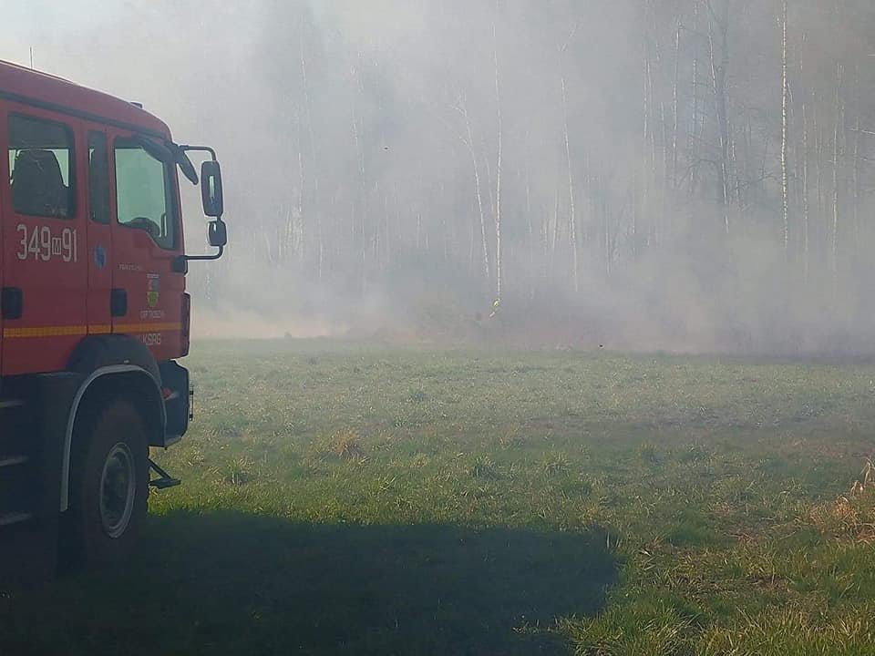 Pożar pod Troszynem. W akcji gaśniczej strażacy ochotnicy z dwóch jednostek [22.04.2020] - zdjęcie #6 - eOstroleka.pl