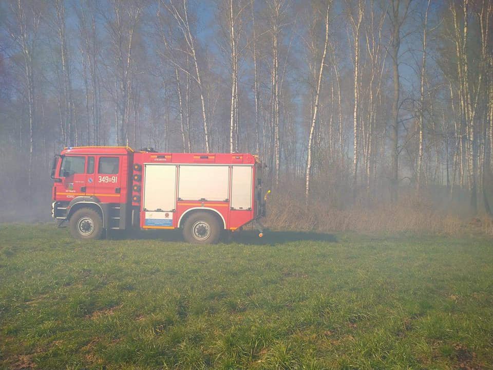 Pożar pod Troszynem. W akcji gaśniczej strażacy ochotnicy z dwóch jednostek [22.04.2020] - zdjęcie #7 - eOstroleka.pl
