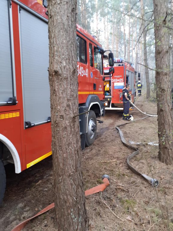 Pod Ostrołęką spłonęły dwa hektary lasu! [28.04.2020] - zdjęcie #2 - eOstroleka.pl