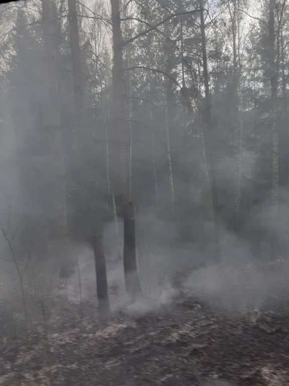 Pod Ostrołęką spłonęły dwa hektary lasu! [28.04.2020] - zdjęcie #5 - eOstroleka.pl