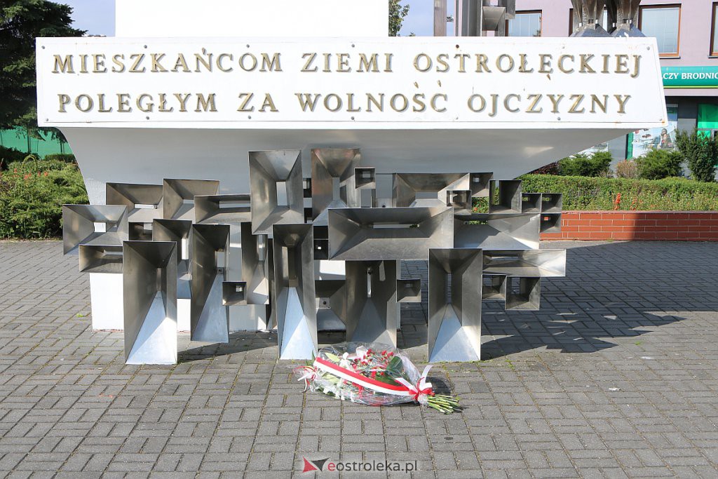 Obchody Święta Pracy z ostrołęcką lewicą [01.05.2020] - zdjęcie #10 - eOstroleka.pl