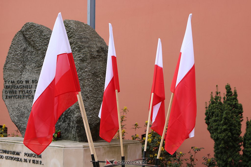Skromne obchody Święta Konstytucji 3 Maja w Ostrołęce [03.05.2020] - zdjęcie #16 - eOstroleka.pl