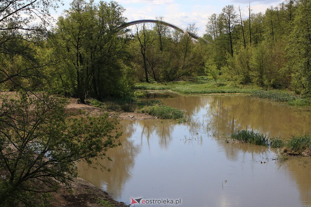 Ostrołęka: Tyle zostało po moście tymczasowym [16.05.2020] - zdjęcie #5 - eOstroleka.pl