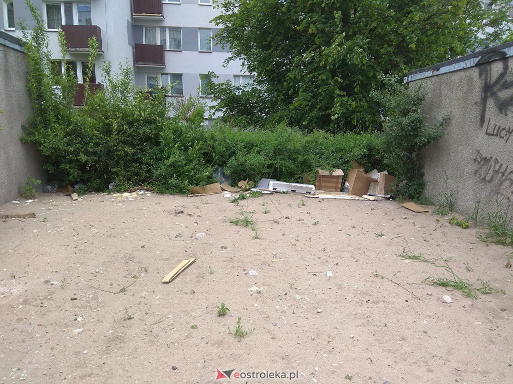 Interwencja Czytelnika: Zaśmiecona ulica Goworowska. Odpady fruwają po całej okolicy [01.06.2020] - zdjęcie #3 - eOstroleka.pl
