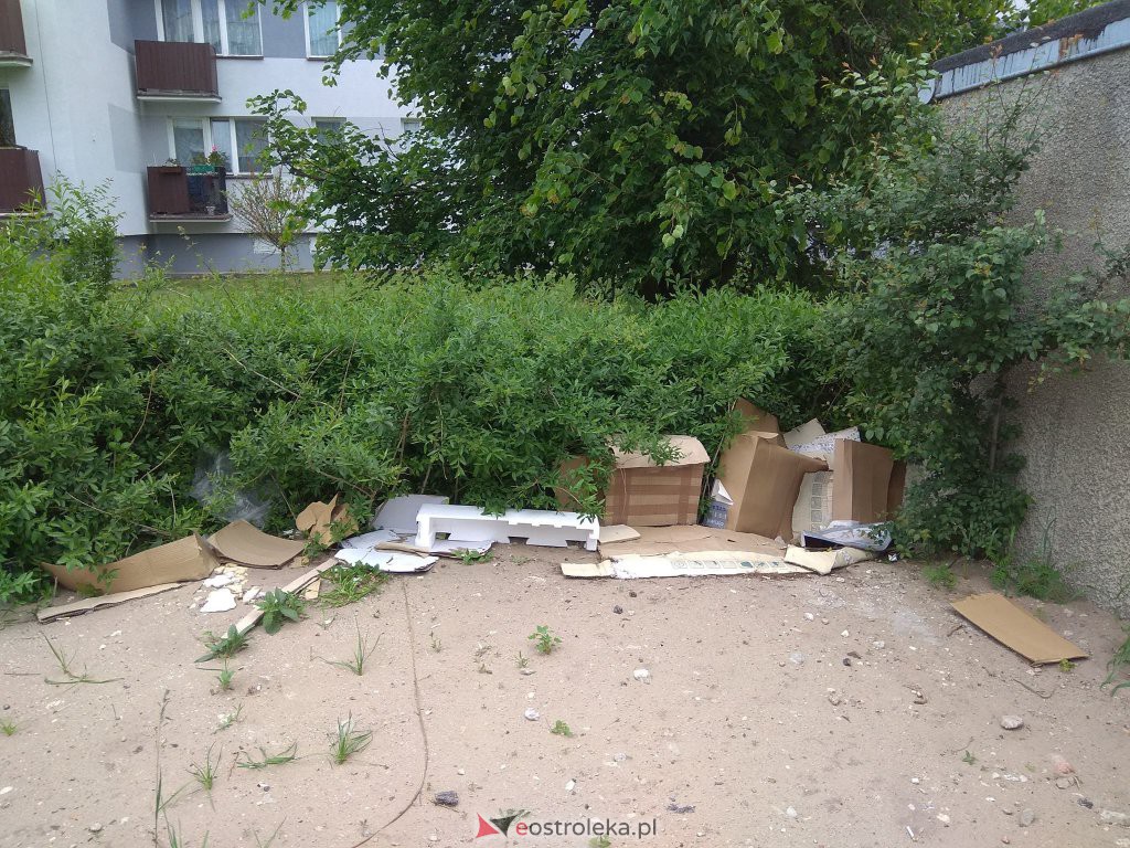 Interwencja Czytelnika: Zaśmiecona ulica Goworowska. Odpady fruwają po całej okolicy [01.06.2020] - zdjęcie #8 - eOstroleka.pl