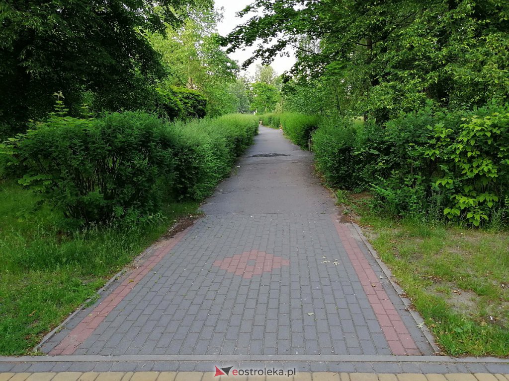 Park na osiedlu Wojciechowice [17.06.2020] - zdjęcie #7 - eOstroleka.pl