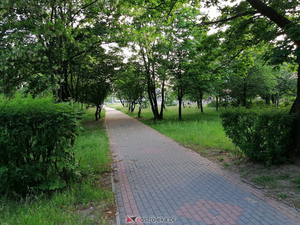 Park na osiedlu Wojciechowice [17.06.2020] - zdjęcie #7 - eOstroleka.pl