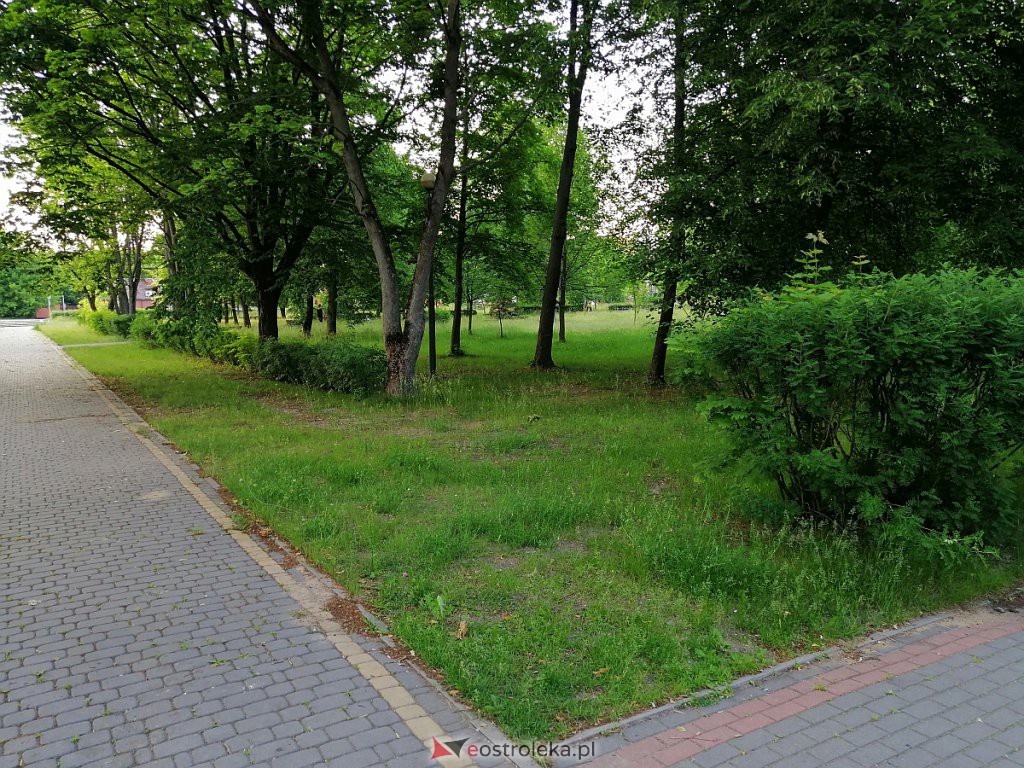 Park na osiedlu Wojciechowice [17.06.2020] - zdjęcie #12 - eOstroleka.pl
