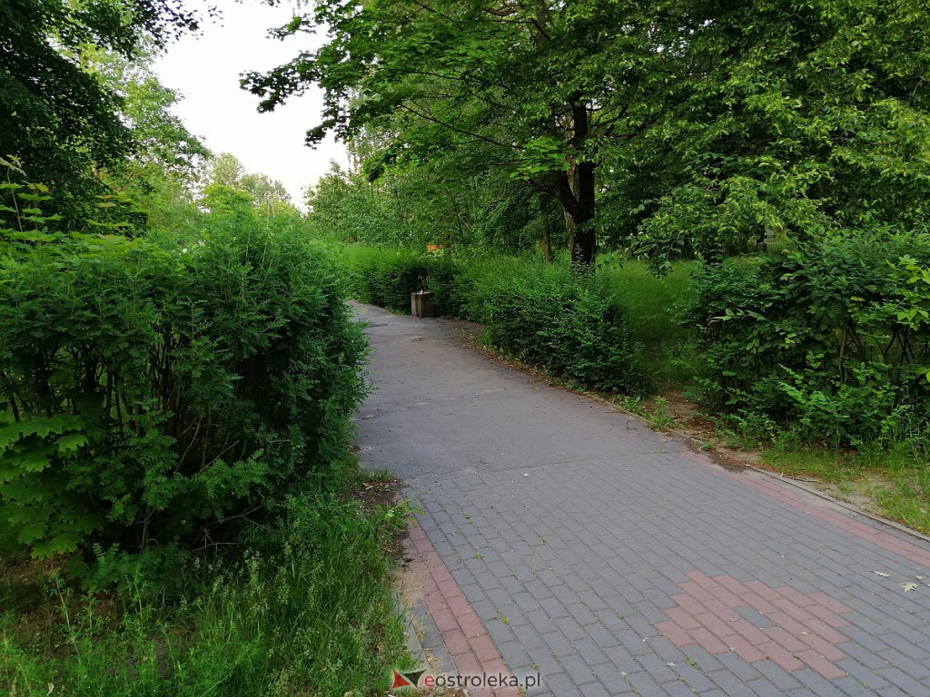 Park na osiedlu Wojciechowice [17.06.2020] - zdjęcie #13 - eOstroleka.pl