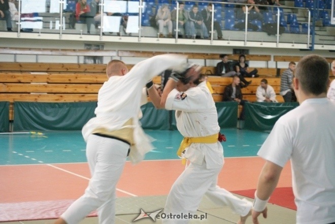 Colloseum - piąta edycja turnieju Ju Jitsu Full Contact (MMA) i Grapplingu w Ostrołęce (30.10.2010) - zdjęcie #62 - eOstroleka.pl