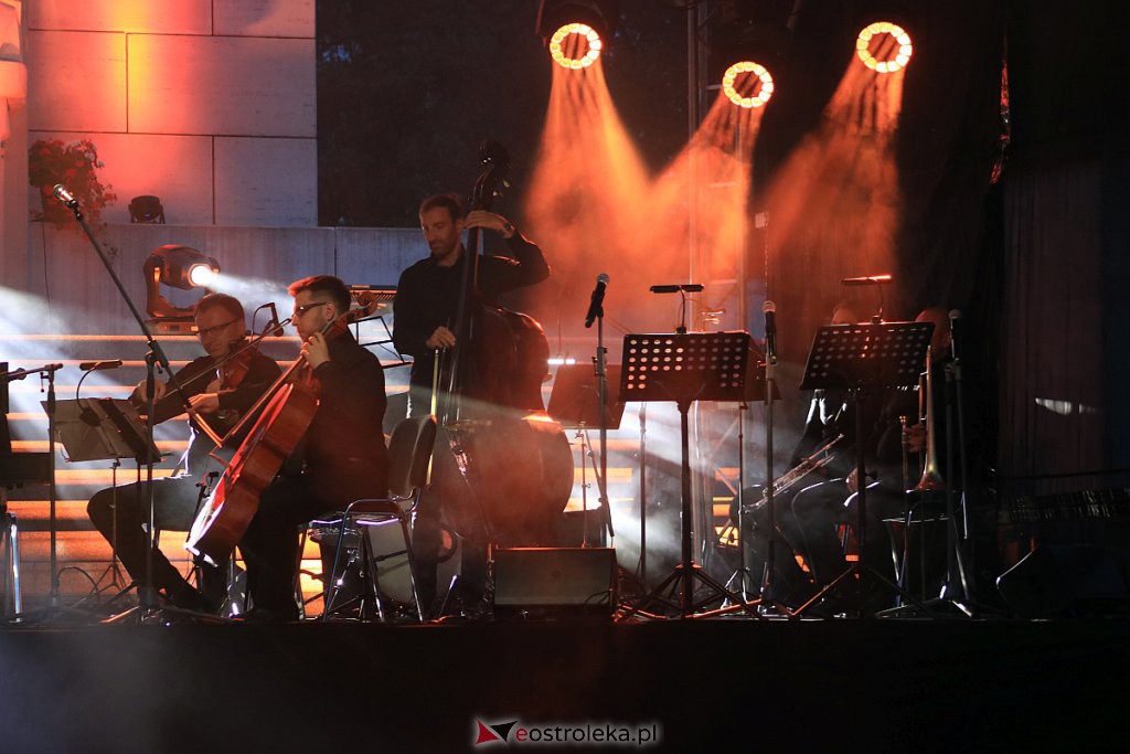 V Festiwal Muzyczny Ostrołęckie Operalia - koncert galowy [28.08.2020] - zdjęcie #30 - eOstroleka.pl