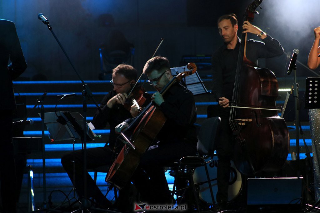 V Festiwal Muzyczny Ostrołęckie Operalia - koncert galowy [28.08.2020] - zdjęcie #10 - eOstroleka.pl