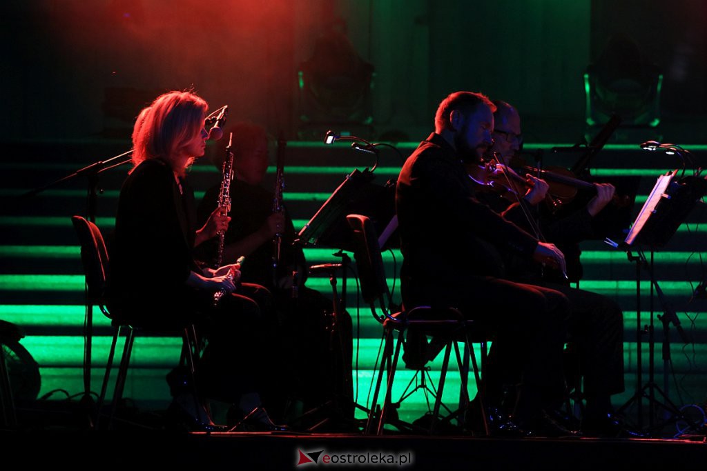 V Festiwal Muzyczny Ostrołęckie Operalia - koncert galowy [28.08.2020] - zdjęcie #5 - eOstroleka.pl