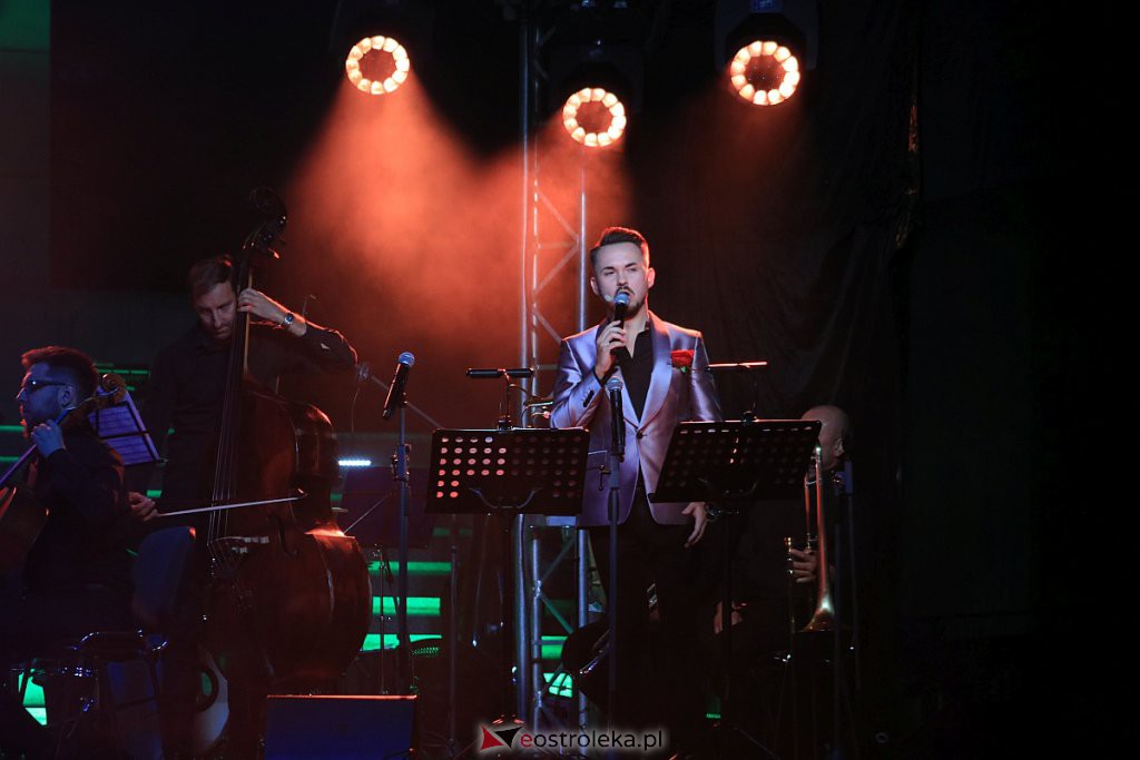 V Festiwal Muzyczny Ostrołęckie Operalia - koncert galowy [28.08.2020] - zdjęcie #4 - eOstroleka.pl