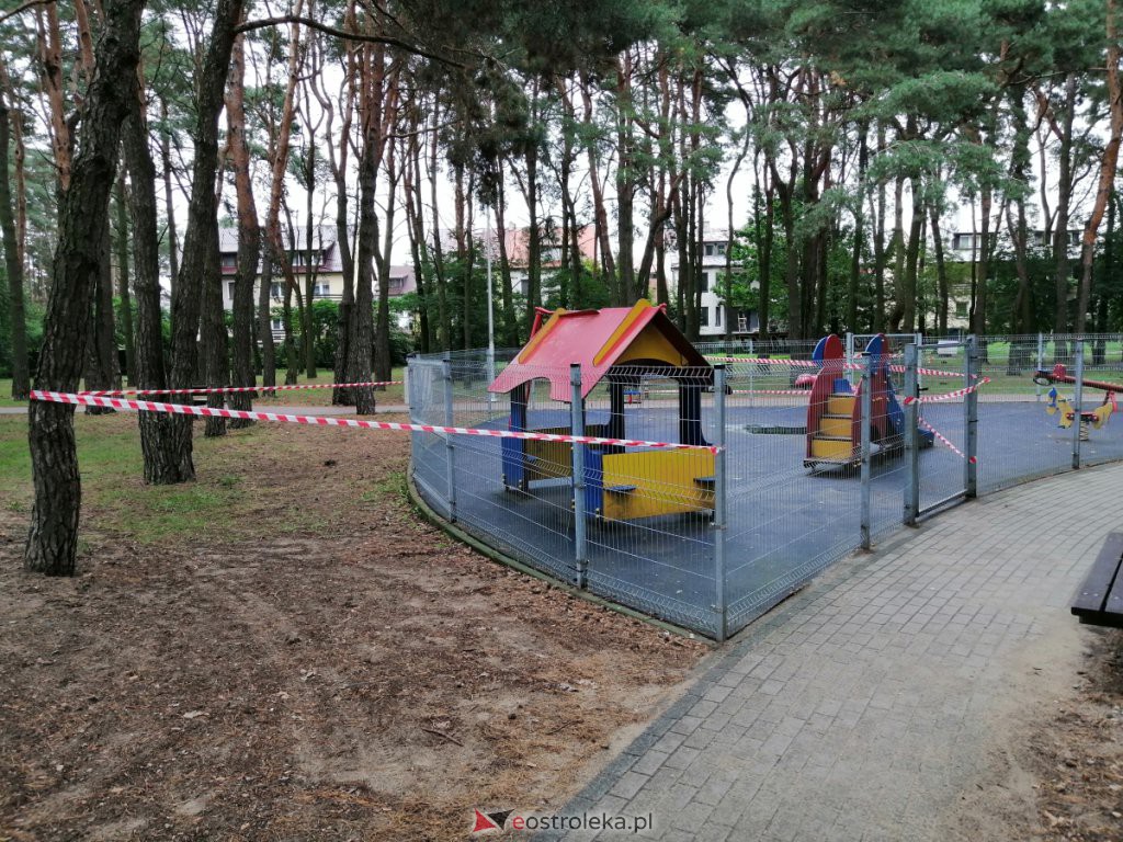 W parku na osiedlu Bursztynowym runęło drzewo. Zamknięto plac zabaw [03.09.2020] - zdjęcie #1 - eOstroleka.pl