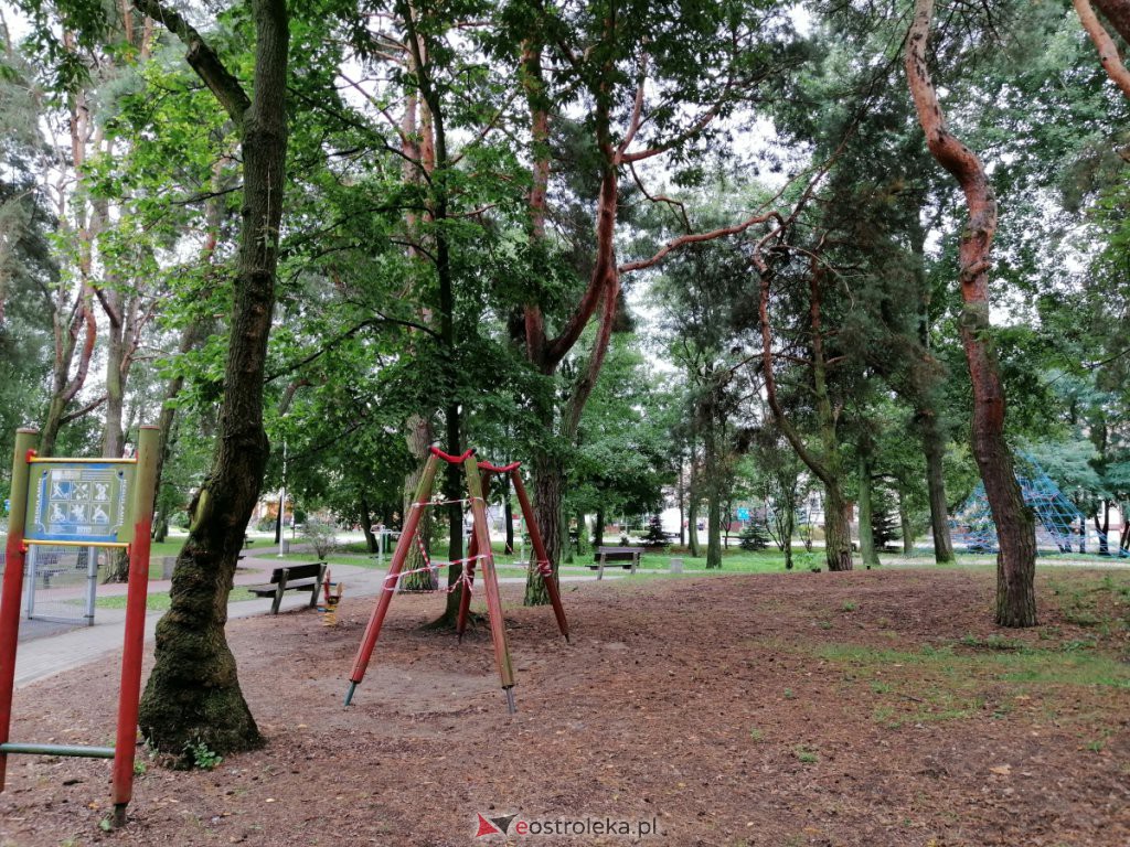 W parku na osiedlu Bursztynowym runęło drzewo. Zamknięto plac zabaw [03.09.2020] - zdjęcie #2 - eOstroleka.pl