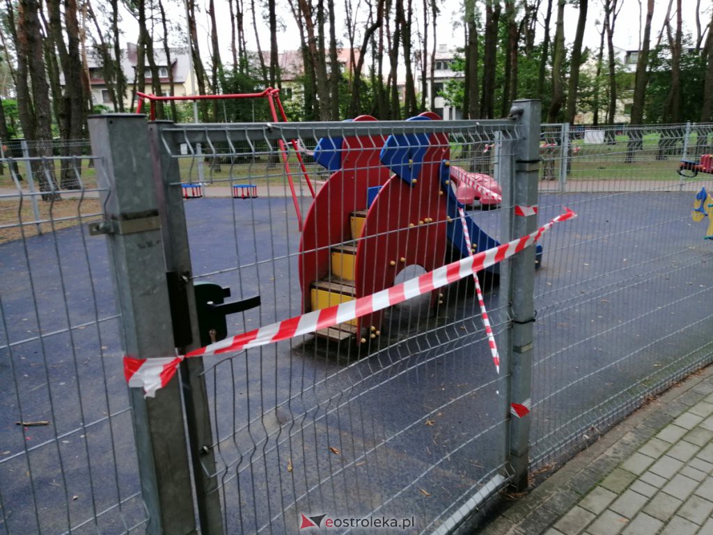 W parku na osiedlu Bursztynowym runęło drzewo. Zamknięto plac zabaw [03.09.2020] - zdjęcie #12 - eOstroleka.pl