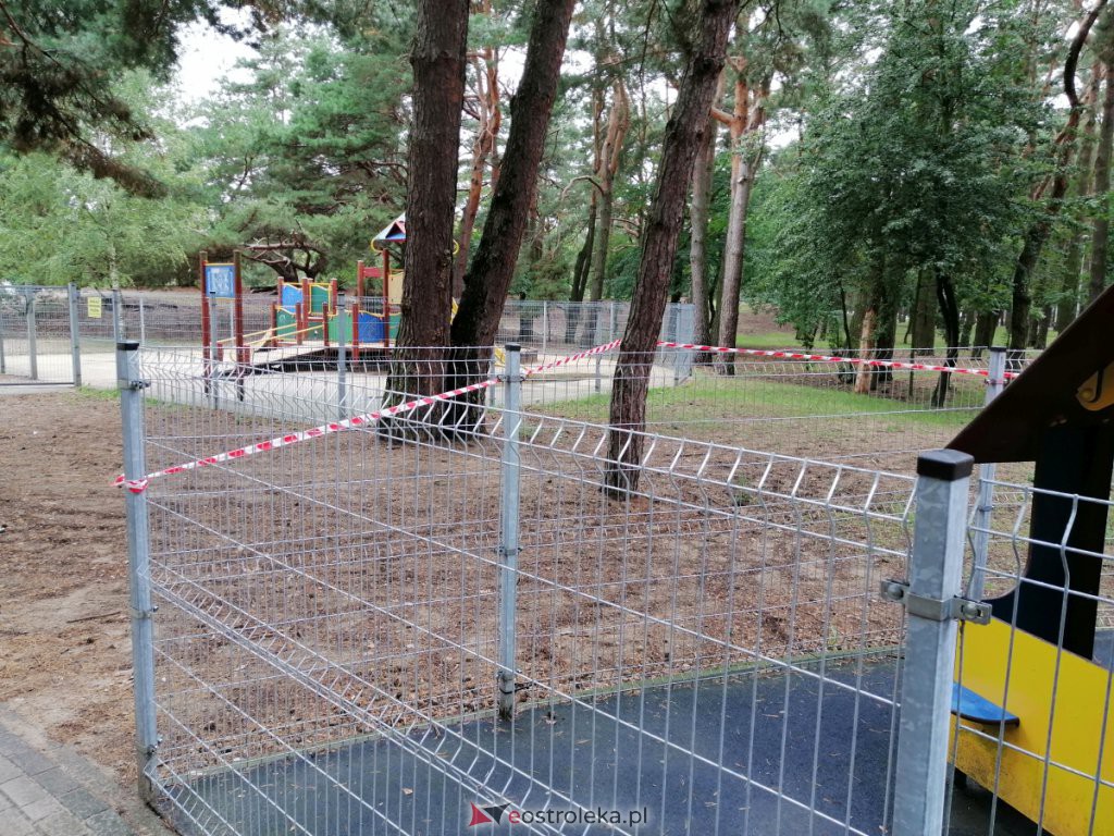 W parku na osiedlu Bursztynowym runęło drzewo. Zamknięto plac zabaw [03.09.2020] - zdjęcie #5 - eOstroleka.pl