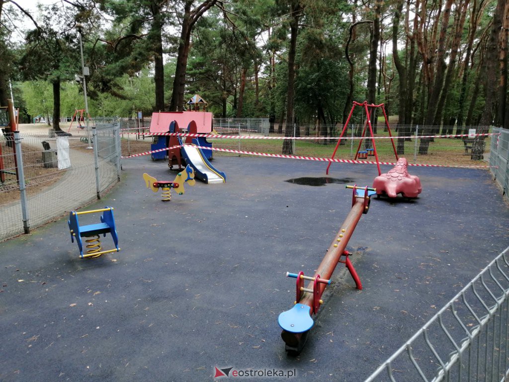 W parku na osiedlu Bursztynowym runęło drzewo. Zamknięto plac zabaw [03.09.2020] - zdjęcie #11 - eOstroleka.pl