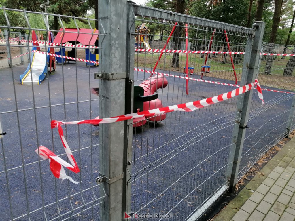 W parku na osiedlu Bursztynowym runęło drzewo. Zamknięto plac zabaw [03.09.2020] - zdjęcie #2 - eOstroleka.pl