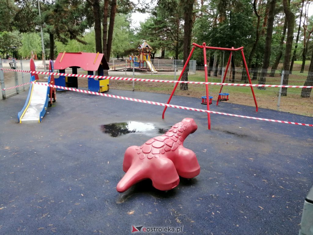 W parku na osiedlu Bursztynowym runęło drzewo. Zamknięto plac zabaw [03.09.2020] - zdjęcie #1 - eOstroleka.pl