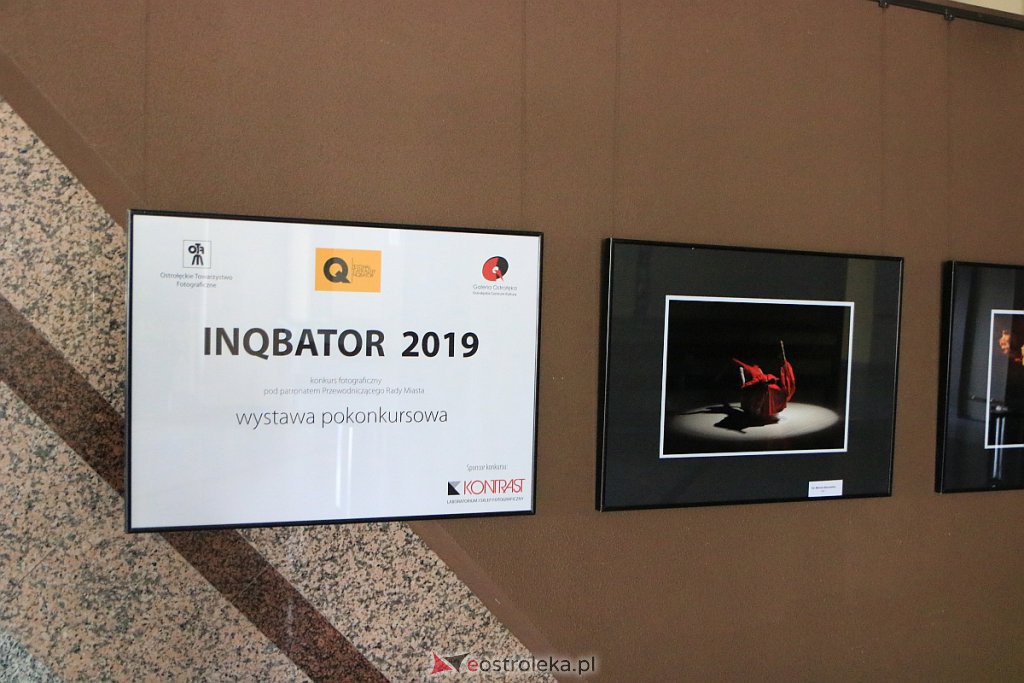 InQbator 2020: Wystawa pokonkursowa w OCK [11.09.2020] - zdjęcie #2 - eOstroleka.pl