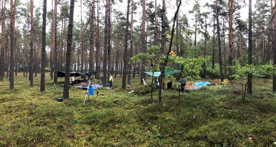Zajrzeli pod powierzchnię cmentarza z czasów Wielkiej Wojny [30.09.2020] - zdjęcie #14 - eOstroleka.pl