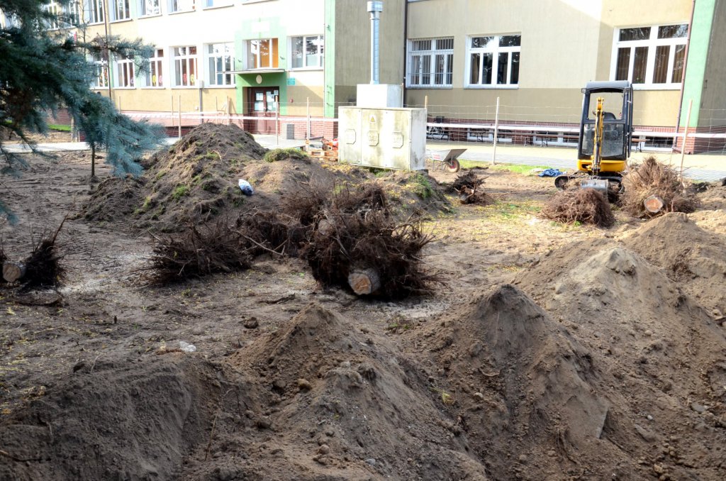 W Kadzidle powstaje pierwsze przyszkolne arboretum w powiecie ostrołęckim - zdjęcie #9 - eOstroleka.pl