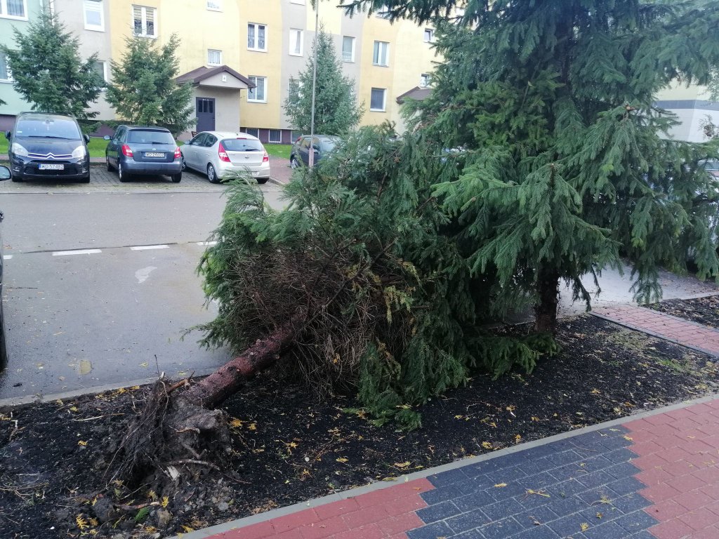Nawałnica [04.10.2020] - zdjęcie #13 - eOstroleka.pl
