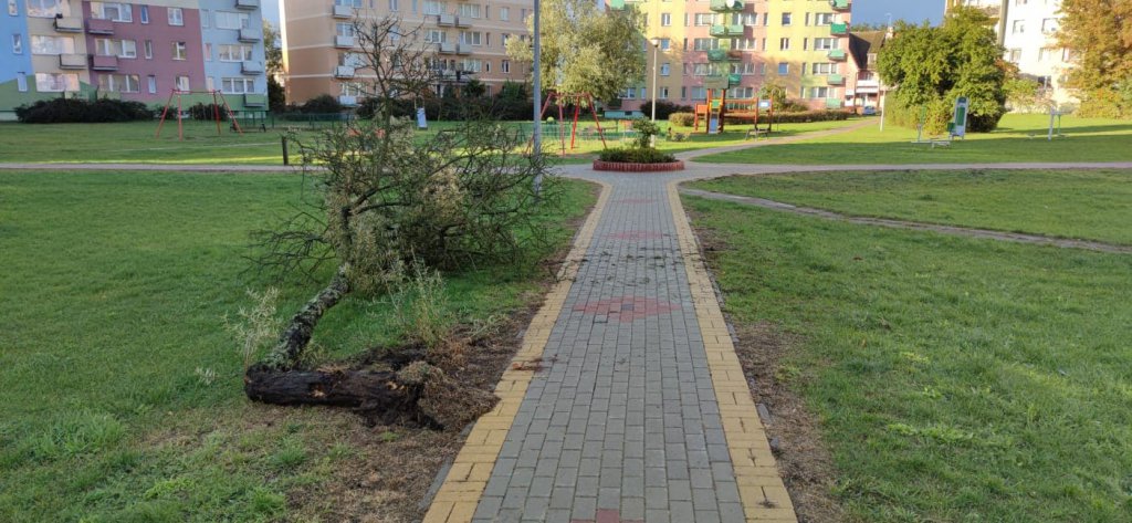 Nawałnica [04.10.2020] - zdjęcie #12 - eOstroleka.pl