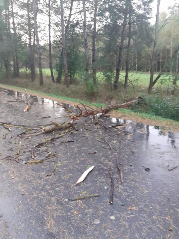 Ostrołęka i powiat po nawałnicy. Około 130 strażackich interwencji, trwa szacowanie strat [05.10.2020] - zdjęcie #35 - eOstroleka.pl