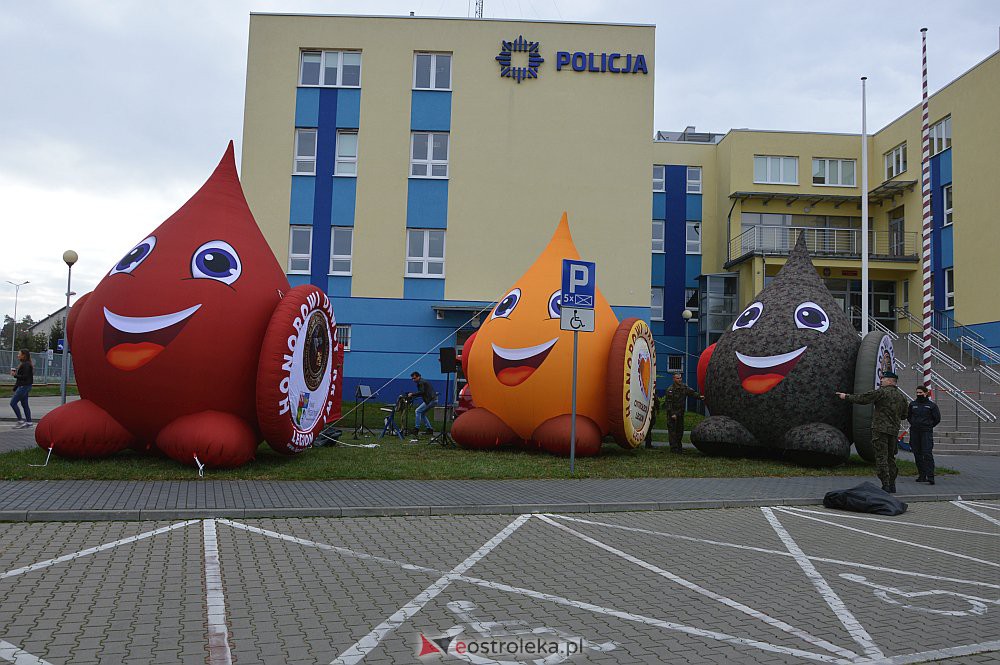 Akcja krwiodawstwa „Siła w jedności” - zdjęcie #2 - eOstroleka.pl