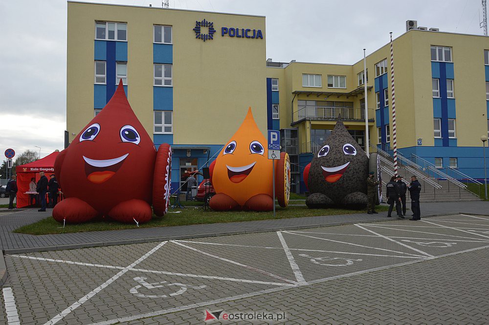 Akcja krwiodawstwa „Siła w jedności” - zdjęcie #1 - eOstroleka.pl