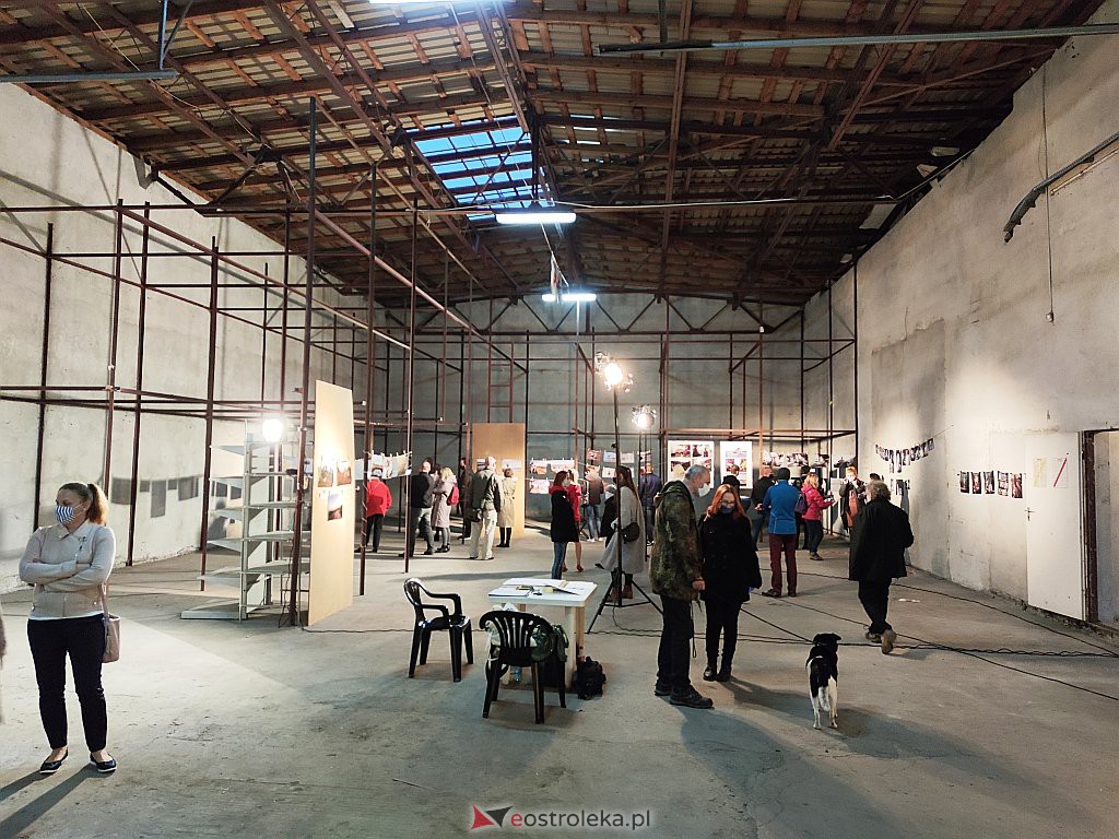 Galeria Bezdomna [11.10.2020] - zdjęcie #12 - eOstroleka.pl