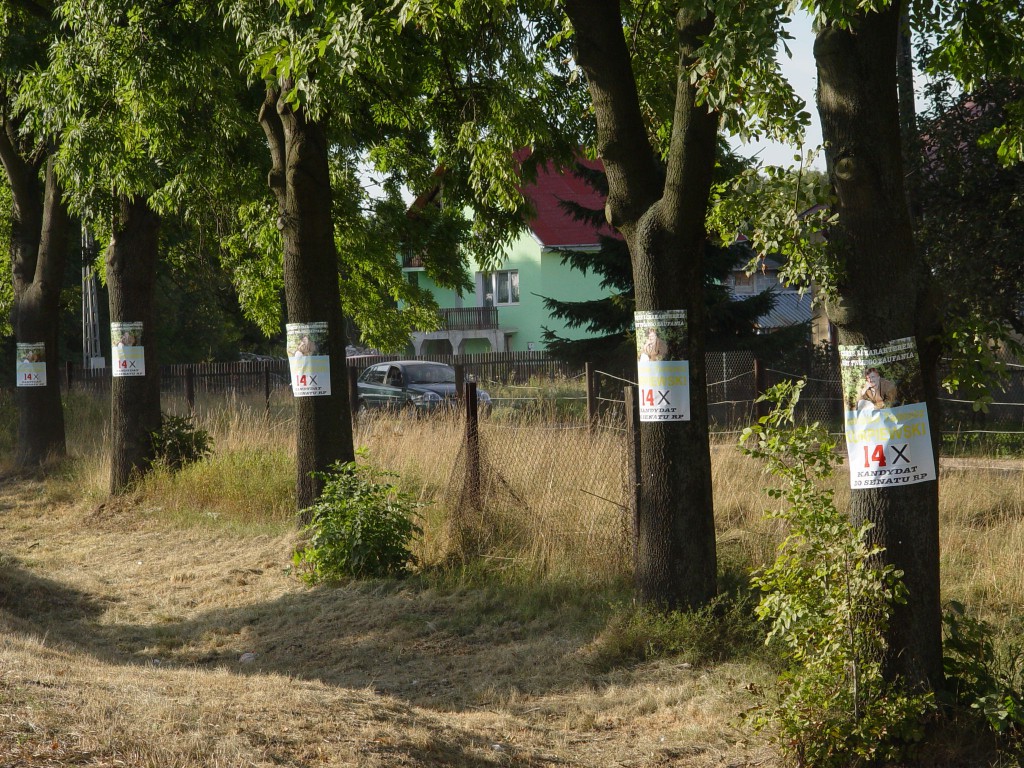 Plakaty wyborcze 2004-2005 - zdjęcie #7 - eOstroleka.pl