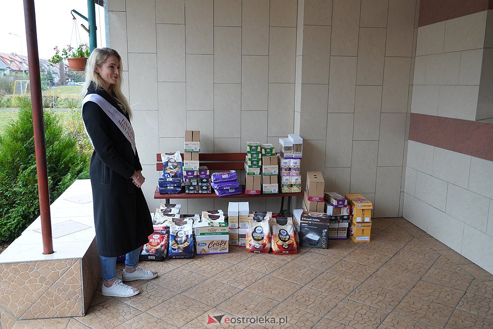 #KORONAZGŁOWY. Środki ochrony osobistej i artykuły spożywcze dla Korczakówki [7.11.2020]] - zdjęcie #3 - eOstroleka.pl