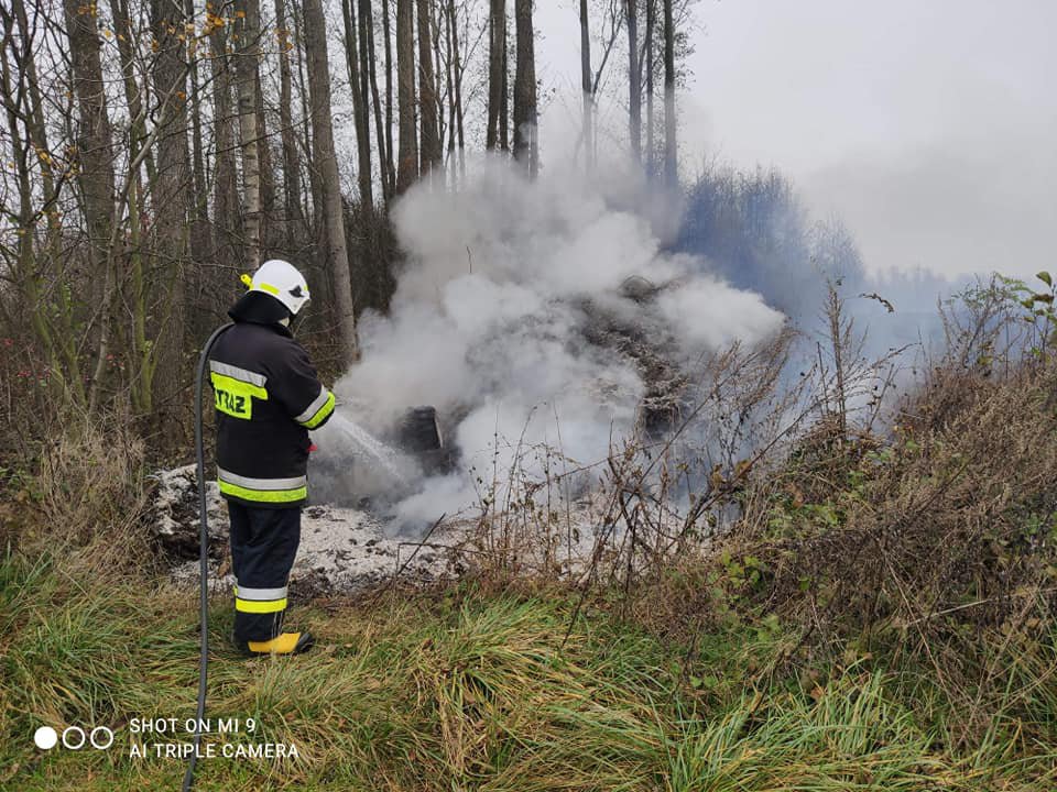 Pożar nieużytków przy lokalnej drodze [14.11.2020] - zdjęcie #4 - eOstroleka.pl