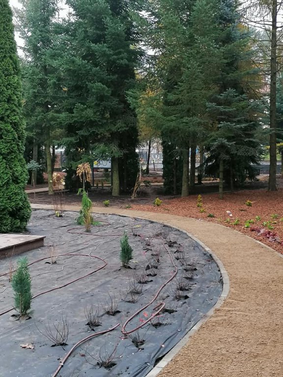 Kadzidło: Budowa arboretum na ostatniej prostej [15.11.2020] - zdjęcie #1 - eOstroleka.pl