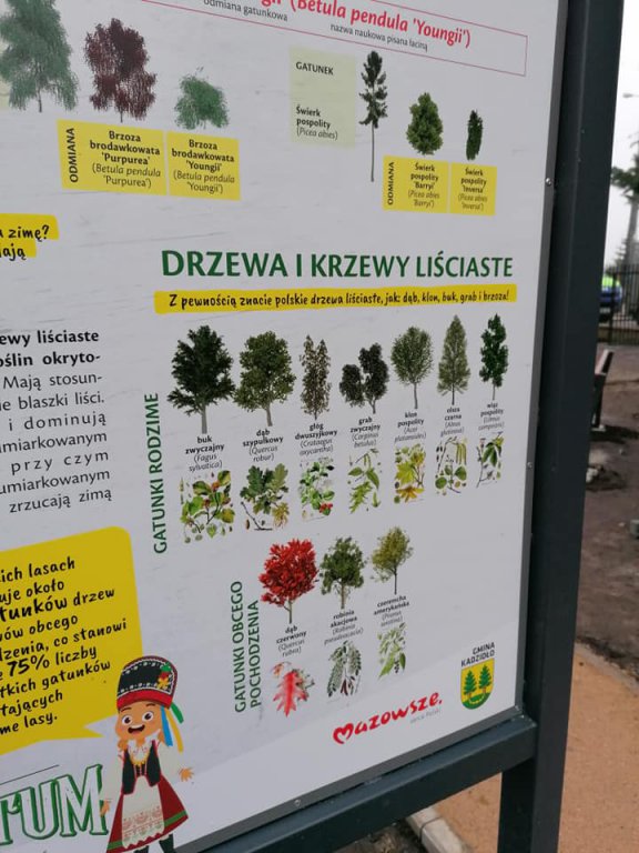 Kadzidło: Budowa arboretum na ostatniej prostej [15.11.2020] - zdjęcie #19 - eOstroleka.pl