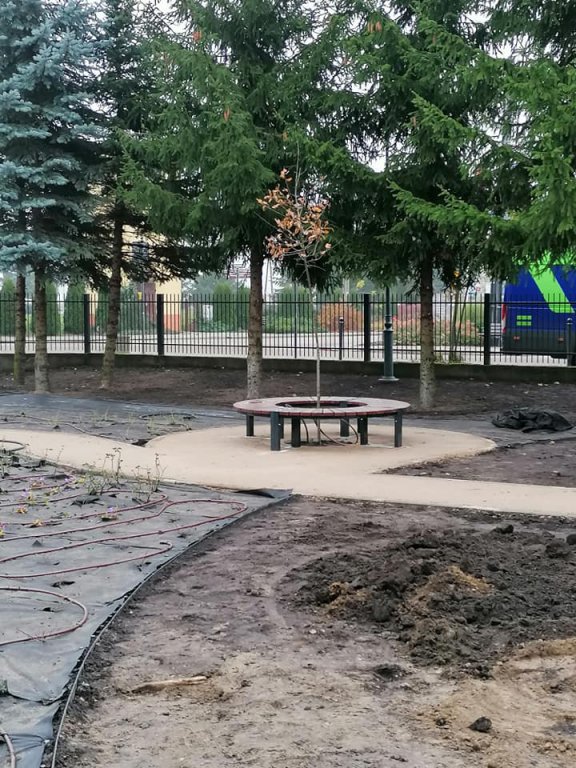 Kadzidło: Budowa arboretum na ostatniej prostej [15.11.2020] - zdjęcie #18 - eOstroleka.pl